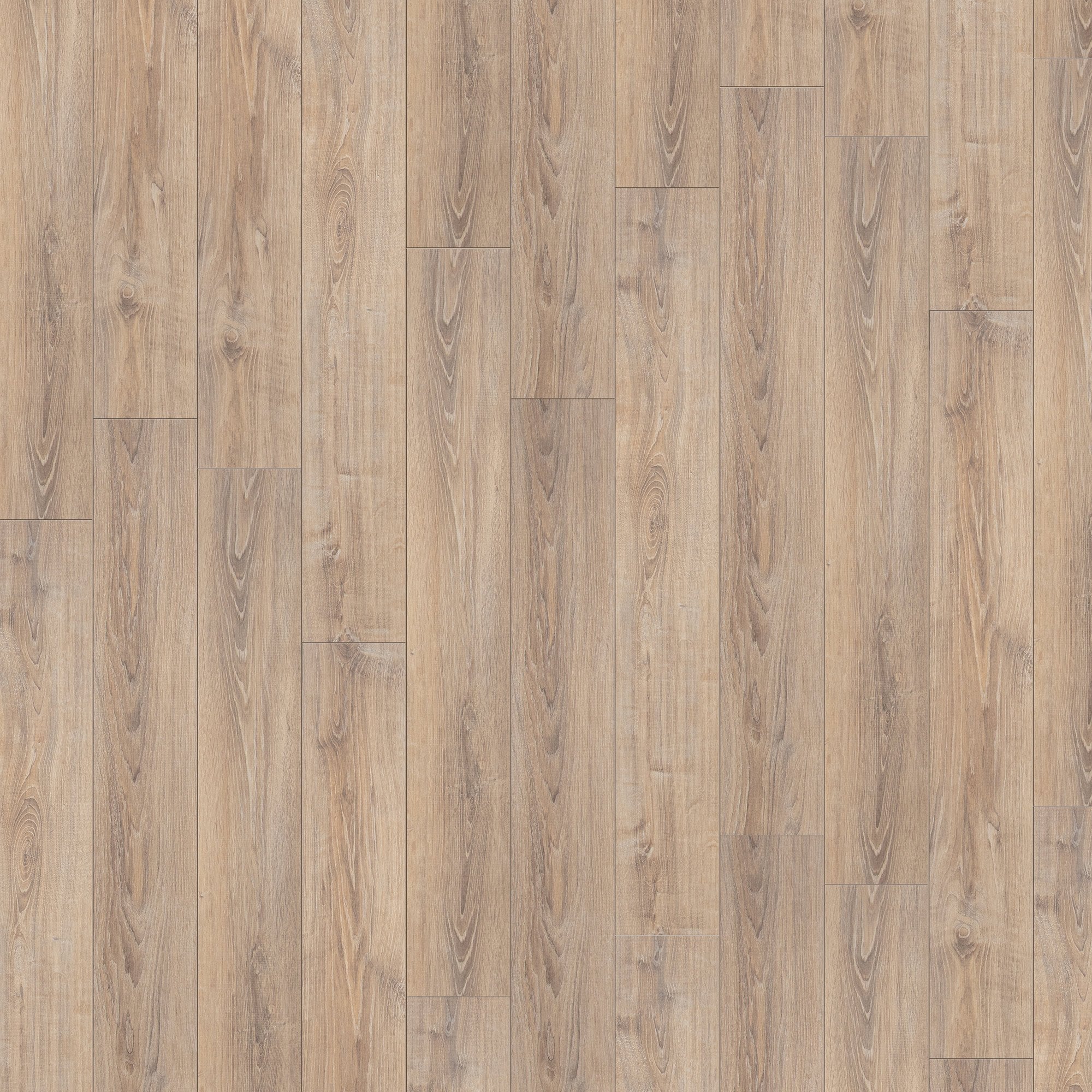 Whitewashed Oak - Exquisite 8mm Laminate Flooring - Image 2