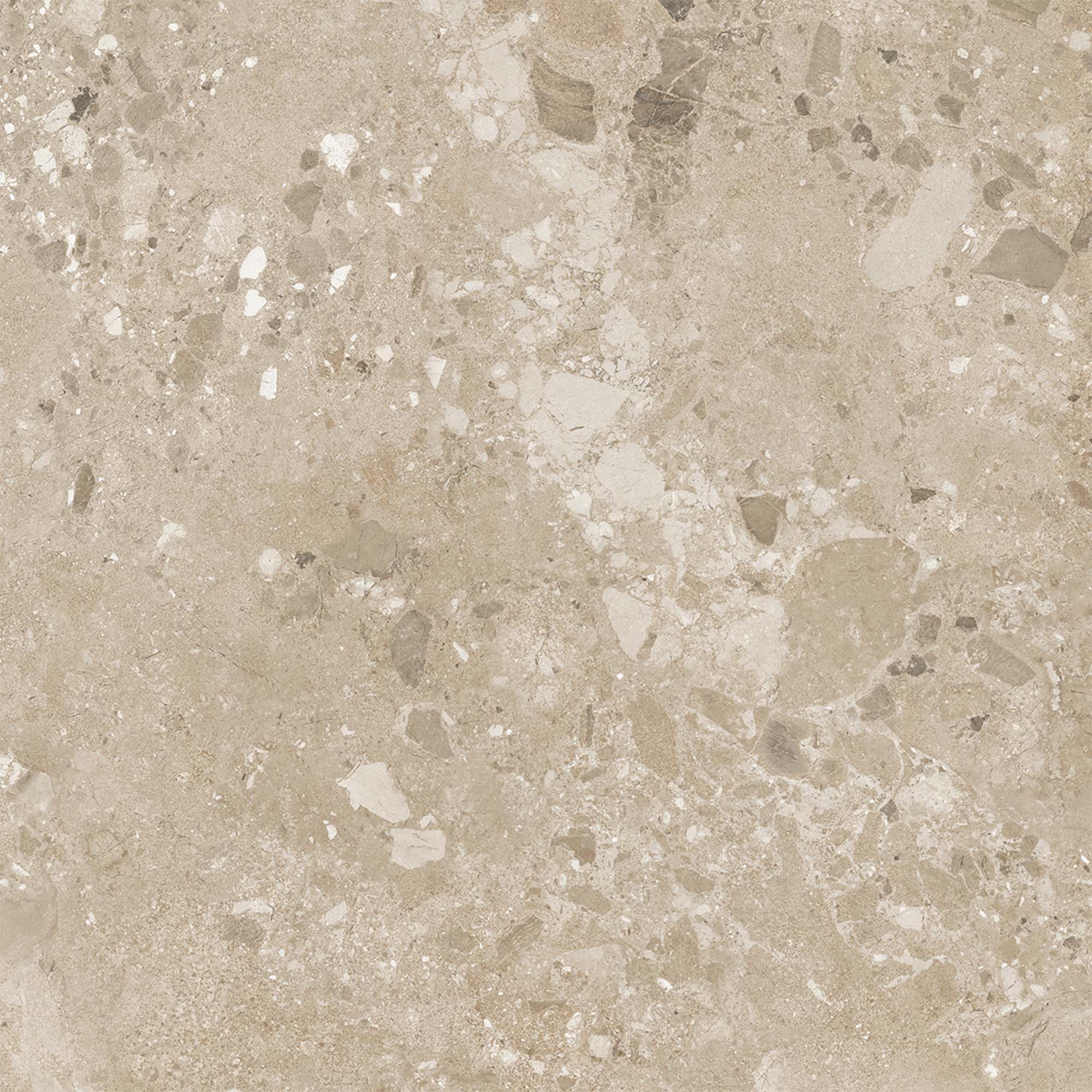 Beige Matt - Terazzia Smooth Porcelain Wall & Floor Tile - Image 4