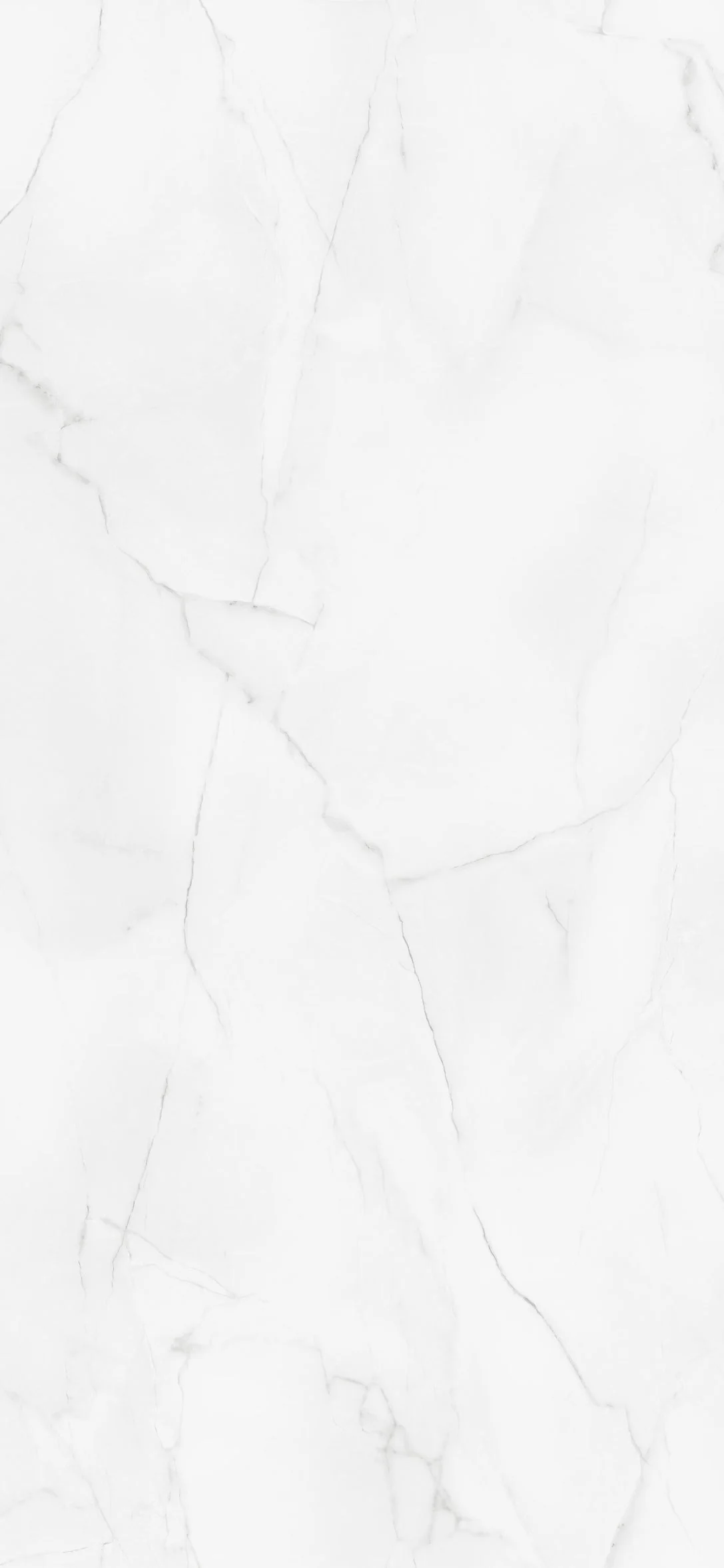 Modern Marble - 2420mm Wetwall Matt Waterproof Wall Panelling - Image 3